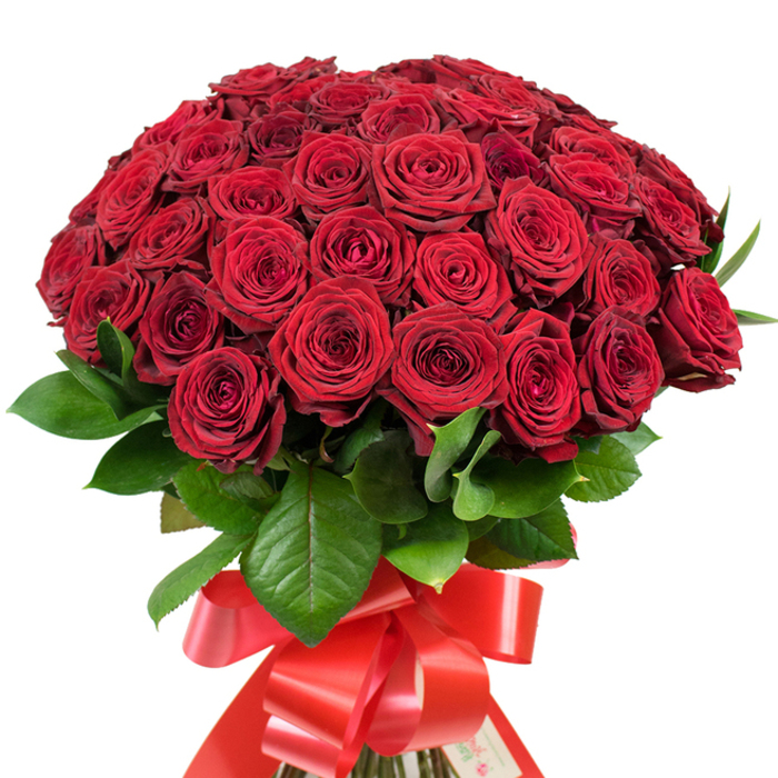 To hold this grand bouquet is to cradle a piece of Cobham's romantic charm in your hands. Over fifty red roses, their petals soft as velvet, are densely clustered into a breathtaking dome that glows with deep, crimson richness-like the treasured blossoms in a private Surrey garden. Each flower is unique: some roses remain closed, promising future beauty, while others open to reveal their intricate, multi-layered centres, casting subtle shadows that add depth and intrigue. Among the blooms, glossy green rose leaves stand out, framing each cluster and enhancing the dramatic effect. The stems, perfectly arranged and wrapped tightly together, are finished off with a wide, luxurious red satin ribbon knotted into a dazzling bow, its flowing ends punctuating the bouquet with flair. The whole composition radiates under gentle diffused daylight, mirroring those golden mornings in Cobham as the village wakes. This bouquet, skillfully assembled by the team at Flower Delivery Cobham, is designed for the grandest occasions-sweeping gestures of love on Valentine's Day, heartfelt anniversary surprises, or simply 'just because' moments along the River Mole. Every texture, petal, and colour is a deliberate choice, joining together to form an exquisite tribute to romance and local expertise.