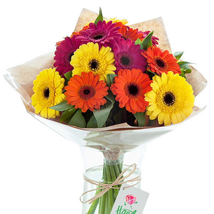 Bathed in gentle daylight, a joyful hand-tied bouquet of Gerbera daisies takes pride of place in a clear glass vase, its fresh-cut blooms radiating across a crisp white field that hints at refined simplicity. The bouquet is alive with colour, featuring a harmonious blend of sunshine-yellow, vivid orange, and rich magenta daisy heads, each one dazzling with its velvety petals and a bold, nearly black centre-a captivating combination that echoes the vibrancy of Cobham's high street cafés and green open spaces. Verdant sprigs of foliage weave between the flowers, adding texture and a dash of nature's serenity. The bouquet is artfully wrapped in rustic brown kraft paper, evoking artisanal charm, and enveloped in crinkled, glossy cellophane that catches the light and protects the precious blossoms. Stems are visible through the vase's flawless surface, standing tall in clear water, while a simple twist of natural twine secures them, accented by a small, elegant gift tag displaying a delicate red rose symbol. The arrangement's thoughtful composition and vivid hues make it ideal for marking joyous events, from birthdays in Cobham's leafy Fairmile neighbourhood to celebrations in Stoke D'Abernon. This image captures not just the artistry of the flowers but also the distinctive warmth and care infused by Cobham's finest florists, perfectly suited for uplifting local homes and hearts.