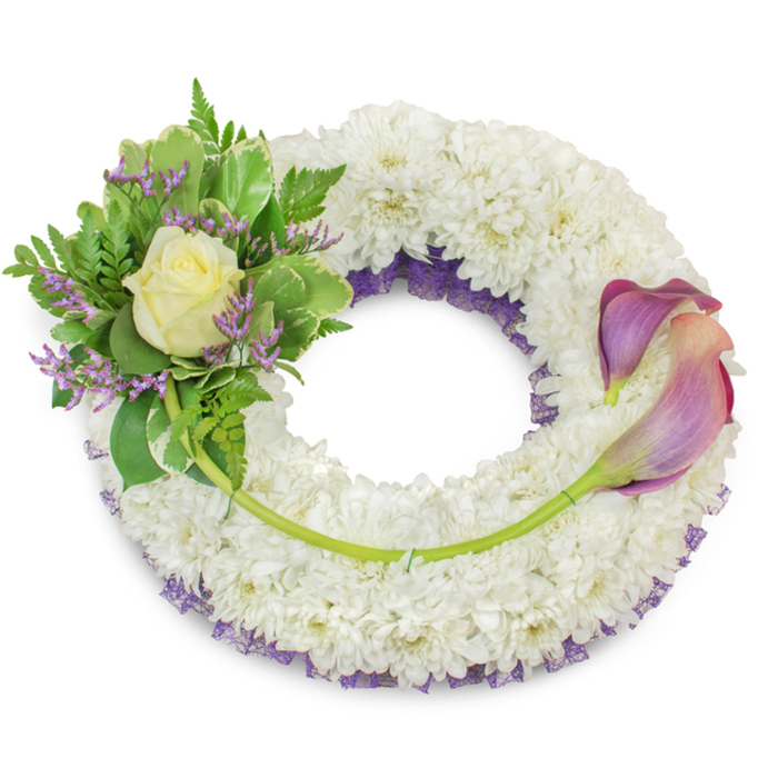 A large, thoughtfully crafted circular wreath rests against a bright white background, its substantial body formed from countless small white chrysanthemum florets packed so closely they create the appearance of a soft, snowy cloud. Along the inner circumference a deep purple ruffled netting or lace is visible in places, offering a muted, respectful contrast that gives the wreath depth without overpowering the primary white. On the upper-left side an artful cluster of foliage and blooms provides a tender focal point: a single, perfectly shaped cream rose opens with a gentle glow amid variegated green leaves edged in lighter tones, and feathery fern fronds lend a natural, airy texture. Thin sprigs of lavender-purple statice are woven through the greens, their papery flowers adding delicate punctuation and harmonising with the hidden purple underlayer. Across the lower-right, from roughly two o'clock to five o'clock, two elegant calla lilies are laid with intent; their trumpet-like blooms display a subtle gradient that moves from a deep, muted purple toward soft peach-pink and blush nearer the base, while their long, bright green stems curve along the chrysanthemum base, creating a soothing line that guides the eye. A single longer green stem stretches from the left cluster and is secured across the lower portion, visually connecting the focal elements and reinforcing the circular motif. The composition reads as a dignified sympathy tribute-calm, restrained, and crafted to convey respect and lasting affection in memorial contexts such as graveside services, chapel gatherings, or quiet remembrances in Cobham and surrounding Surrey towns.