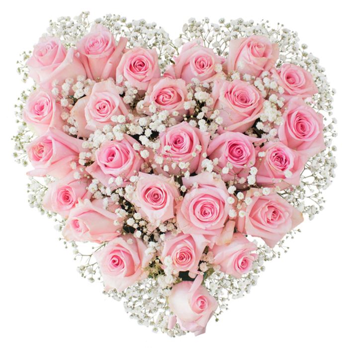 Dense and tenderly arranged, this heart-shaped bouquet is composed almost entirely of soft pastel pink roses, each bloom positioned so the petals overlap in a velvety mosaic against a stark white backdrop. Some roses are still shaped like neat, blushing buds; others have opened to reveal layered spirals of petals that catch the light with a subtle sheen. Tiny, cloud-like clusters of white baby's breath weave through the roses, their fine stems and miniature blooms adding an ethereal, lace-like texture that softens the silhouette and lifts the overall composition with airy highlights. The even, bright lighting reveals delicate variations in pink-cool blush at the petal tips, warmer rose tones toward the centers-while keeping shadows minimal so the bouquet reads as fresh and immaculate. There is a quiet, reverent mood to the design, a floral language of devoted affection that suits weddings, milestone anniversaries, or a refined Valentine's offering. As a florist familiar with Cobham's neighbourhoods and gardens, I picture this arranged in the cool morning light by Cobham Mill or carried quietly down Church Street for a small, heartfelt celebration; the scent would be faintly sweet and clean, like a memory of garden roses on a calm spring day. The craftsmanship shows in the balanced heart shape, the consistent bloom quality, and the gentle interplay between the roses' plush texture and the gypsophila's delicate airiness, creating an emblem of love that is both classic and quietly modern.