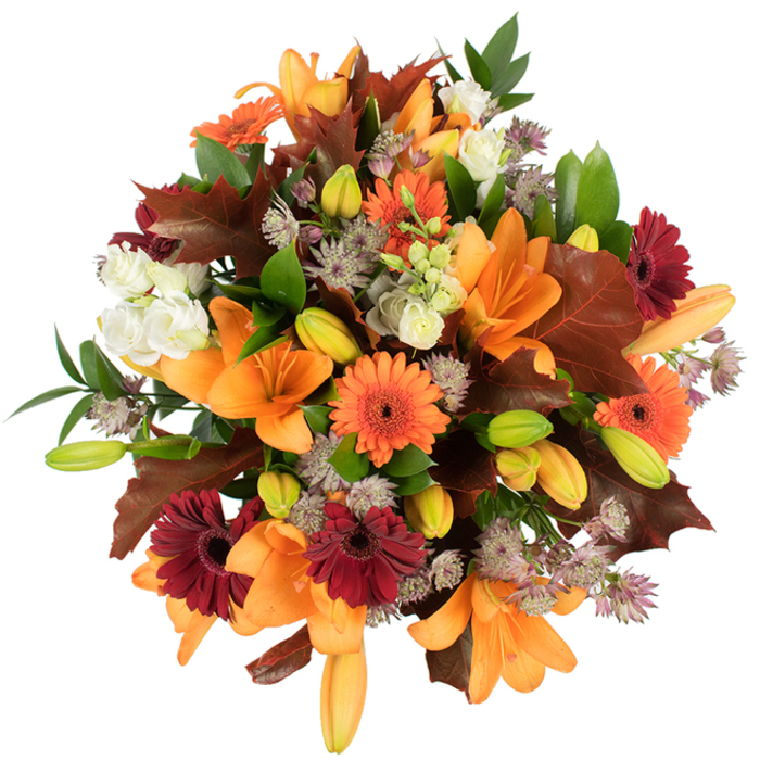 A lush, hand-tied autumn bouquet photographed against a stark white background, offering an intimate, elevated look at seasonal floristry from a Cobham perspective. Several large orange Asiatic lilies dominate the scene, their broad petals unfurled into elegant trumpets, while clusters of tightly closed buds in pale orange and leaf-green promise additional bloom and lend dimensionality. Sprays of bright orange Gerbera daisies and deep burgundy gerberas create a vibrant punctuation that brightens the composition, their circular heads and dark central discs adding rustic cheer. Creamy white lisianthus with soft, ruffled petals provide delicate contrast and a refined softness, and small, spiky clusters of astrantia in muted purple introduce a subtle, woodland-like texture. Accents of broad, lobed autumn leaves in reddish-brown and chestnut are interwoven through the bouquet, intentionally placed to mimic the gathered colours of Cobham's high street trees in late October; smaller fresh green leaves and slender stems form a verdant backdrop that lifts the warmer tones. The arrangement feels densely packed yet airy, expertly balanced so each bloom and leaf has presence without crowding. Overhead lighting emphasizes the lilies' sheen and the veins on the autumn leaves, making the warm palette-orange, burgundy, brown, soft purple and green-appear vivid and tactile. This bouquet radiates warmth and harvest-time celebration, suited to a Thanksgiving table, a seasonal anniversary, or as a thoughtful gift to evoke local autumn walks around Stoke D'Abernon and the village green.