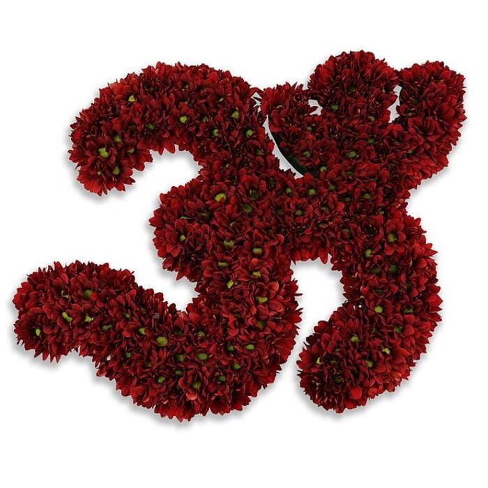 A bold, meticulously assembled numeral '33' fashioned from hundreds of small, densely clustered button chrysanthemums in a saturated burgundy-crimson, the kind of floral sculpture that commands attention while remaining quietly elegant. Each tiny flower contributes to a plush, velvety surface; under soft studio lighting the petals reveal tonal depth-from near-black maroon in shadowed folds to luminous ruby highlights on raised edges-while the minute green centres peppered throughout add a fresh, botanical counterpoint that livens the textural field. The two figures are rendered with careful negative space so the curves read cleanly against a pure white backdrop; a delicate, diffused gray shadow beneath suggests a slight elevation, giving the composition three-dimensional presence without distraction. The overall effect is versatile-equally suited to a 33rd birthday centrepiece, an anniversary tribute, a commemorative display, or a sporting jersey number honoured at a local club gathering. Locally in Cobham, you might find such a piece presented at a High Street celebration or placed near Painshill Park for an outdoor milestone photograph; it's a design familiar to area families marking life's meaningful dates. Prepared with the sensibilities of Flower Delivery Cobham's floral team, the arrangement speaks of disciplined craftsmanship: careful massing of bloom to bloom, attention to hue and density, and a tactile richness that invites whispered admiration. The scent is mild and fresh, the composition serene yet celebratory-an elegant, symbolically loaded floral statement executed with respect for form and local tradition.