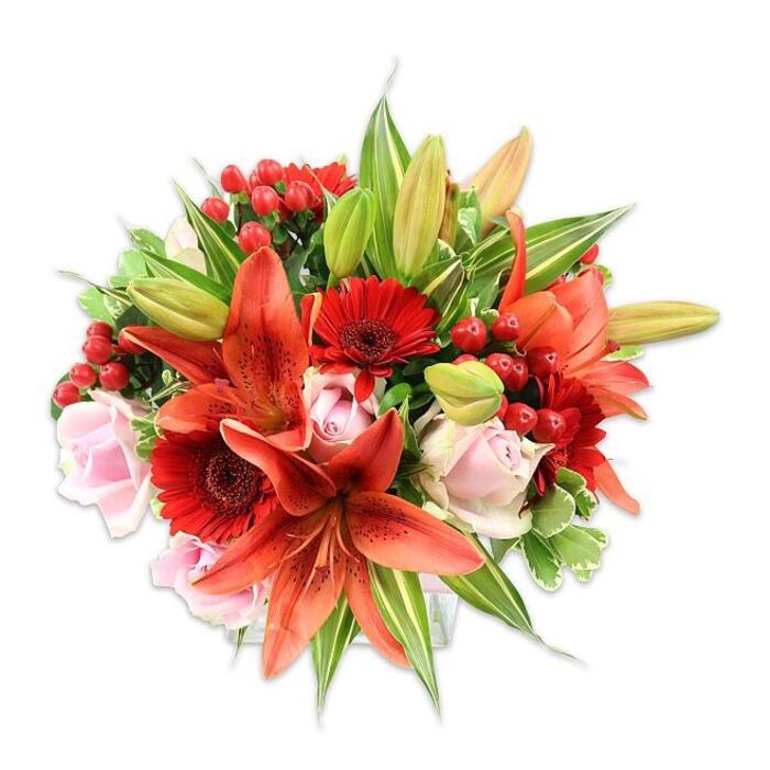 This lush, densely packed bouquet is photographed against a pristine white surface so every colour and texture reads clearly; imagine I'm describing it from my flower studio near the River Mole in Cobham. The focal lilies are a dramatic orange-red - large Asiatic blooms with gently recurved petals and scattered darker spots that give each blossom a painterly quality, their stamens prominent and adding a small, earthy contrast. Interwoven with those are vibrant crimson Gerbera daisies, recognizable for their many slender petals radiating from a deeper central disk, which bring a burst of cheerful geometry to the softer curves. Several blush-pink roses thread through the arrangement, varying from compact buds to more open, layered blooms whose velvety petals create a tender, romantic softness against the fiery tones. Clusters of glossy red hypericum berries peek between petals, their round, polished surfaces catching the light like tiny ornaments and providing bumpy textural interest. The greenery is abundant and thoughtfully chosen - smooth broad leaves to ground the design, slender lily foliage for vertical movement, and a few variegated leaves that introduce pale streaks and visual sparkle. The bouquet's rounded silhouette and carefully balanced colour play read as both celebratory and intimate, appropriate for anniversaries, birthdays or to brighten a living room on Elm Road or a reception at Cobham's community hall. The overall sensory impression is one of freshness and considered craft: lively colours, varied textures and a faint, inviting floral perfume that suggests careful selection and gentle handling by a local florist who knows the area.