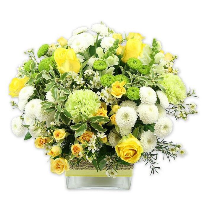 A vibrant, dome-shaped floral arrangement in cheerful yellow, crisp white, and fresh green sits in a contemporary clear glass cube vase, photographed against a pure white background that accentuates its colours and textures. The design showcases the balance and attention to detail of a skilled Cobham florist. Warm yellow roses form the central focus, their velvety petals layered in soft spirals; some heads are fully open, displaying their full beauty, while others remain in bud, adding height and a sense of anticipation. Nestled among them are clusters of smaller yellow spray roses, whose multiple miniature blooms introduce a playful density and echo the main roses in a more delicate form. White pompom chrysanthemums add rounded, cushioned shapes, their densely packed petals creating a plush texture that contrasts with the smooth elegance of the roses. Bright lime green button chrysanthemums are tucked throughout the bouquet as small, spherical bursts of colour, while larger, paler green flowers-softly ruffled and reminiscent of green carnations or decorative mums-provide an airy, frilled volume that gives the arrangement its generous silhouette. Lush greenery weaves around and beneath the flowers, including deep green filler foliage and striking variegated leaves edged with creamy white, which frame the brighter blooms and add a natural, garden-inspired feel. Fine stems of tiny, star-like white filler flowers are sprinkled through the bouquet, catching the light and lending a delicate, almost sparkling detail. The stems are visible through the transparent vase, whose midsection is wrapped with a rustic, woven-textured band and finished with a coordinating green ribbon, echoing the fresh tones of the flowers above. This joyful display evokes feelings of springtime and renewal, making it ideal as a centrepiece for a Cobham dining table, a thoughtful birthday surprise, or a bright, optimistic gift delivered locally to say thinking of you.